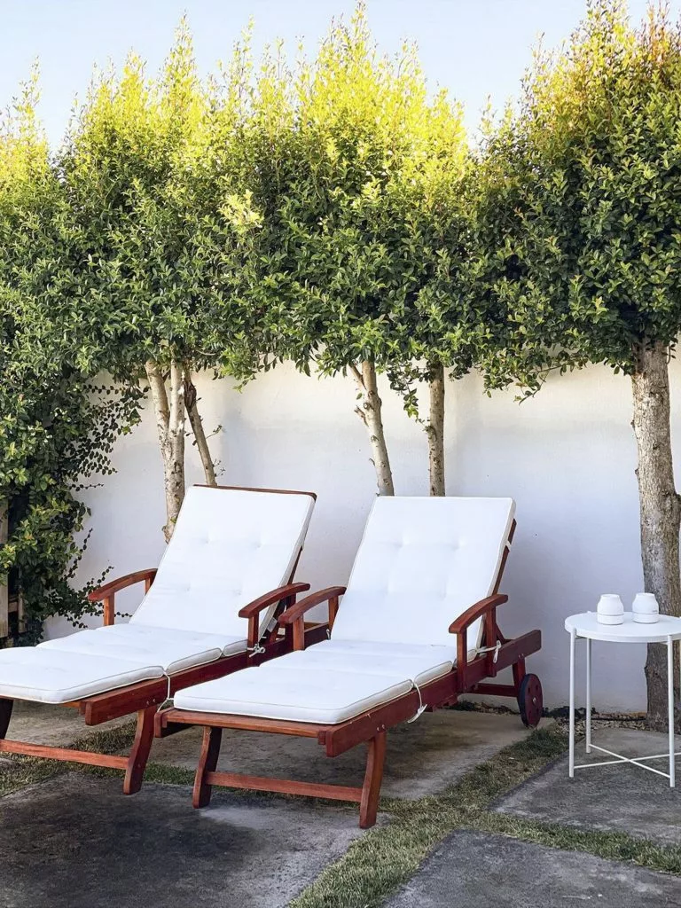 Beliani Leżak Ogrodowy Drewno Akacjowe Z Poduszką Białą TOSCANA - obrazek 5